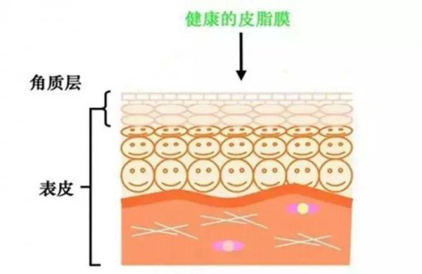 清洁霜真的可以清除毛孔里的垃圾吗