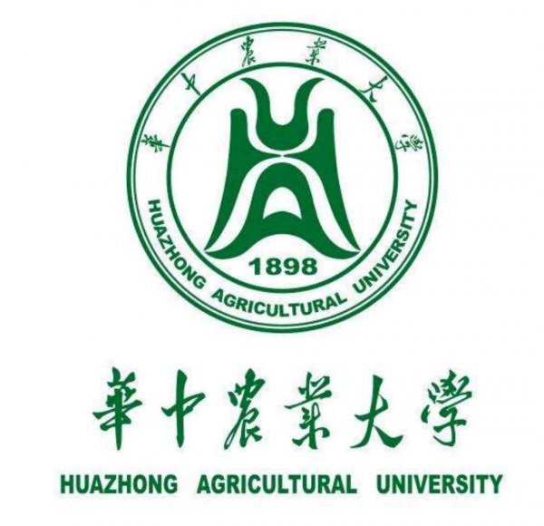 武汉有哪些大学哪所最出名