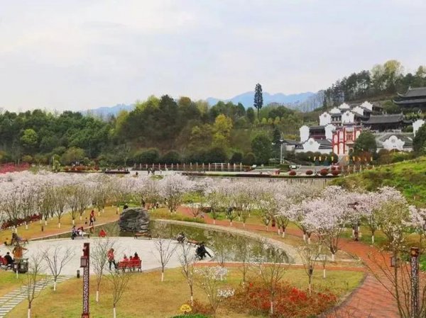 宜昌旅游十大必去景点