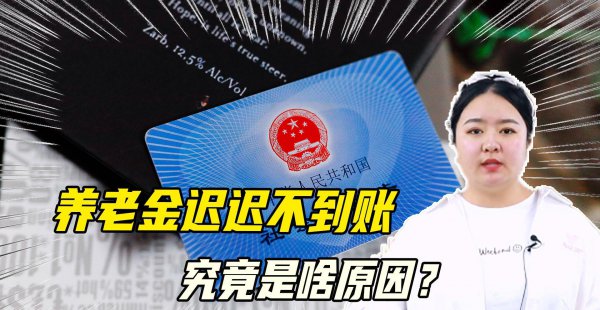 社保到账情况未到账是什么意思