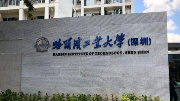 大学分校和校区的区别