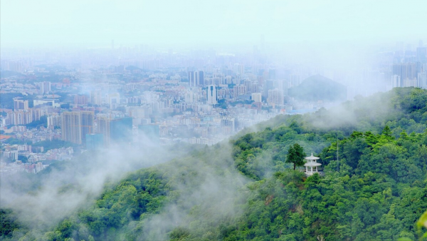 广州有哪些好玩的地方或景点