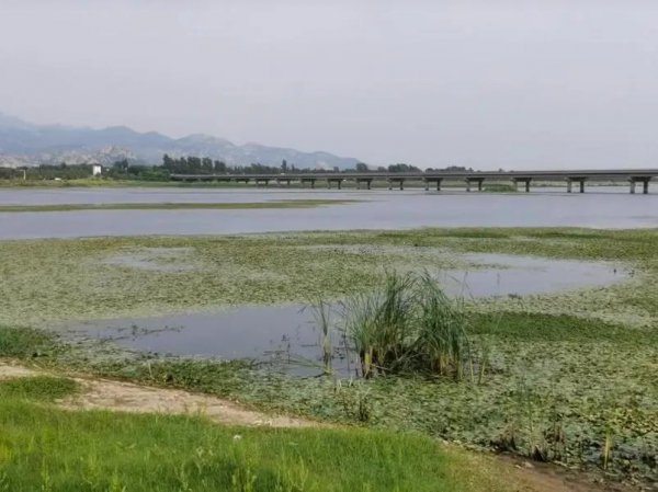 潍坊旅游攻略必玩的景点