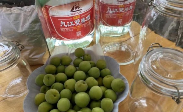 泡果酒用什么酒合适呢