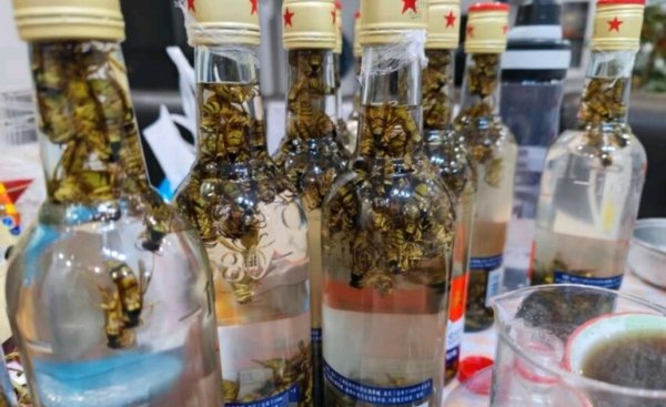 泡果酒用什么酒合适呢