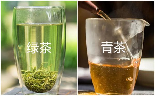 绿茶不是发酵茶的一种