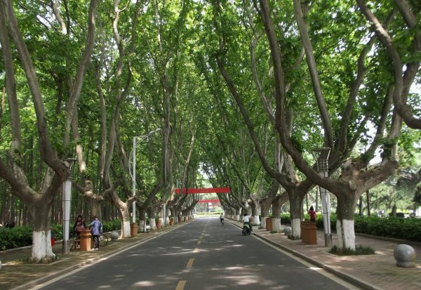 南京理工大学在哪里哪个城市