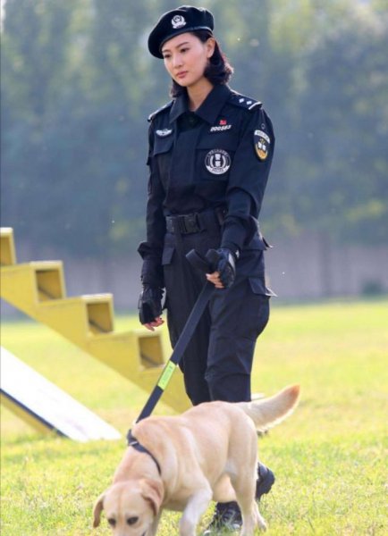 关于警犬的电视剧推荐