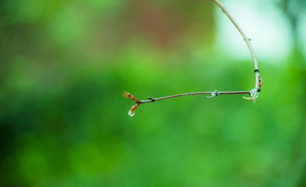 春夜喜雨古诗意思解释