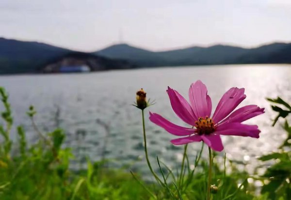 面朝大海春暖花开的含义