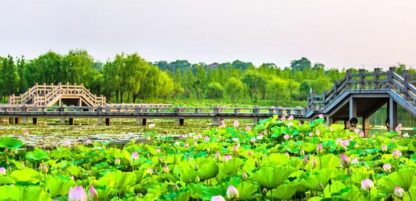 浙江湖州长兴十大旅游景点