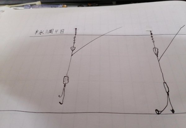 台钓调漂的技巧和方法图解