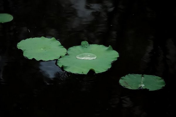 南京师范大学占地面积超200万平米