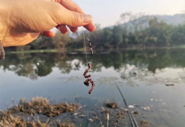 水面有鱼不开口怎么办