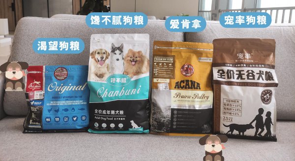 养萨摩耶犬一个月费用大概多少钱