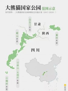 中国熊猫基地在哪里 国内几个最值得去的大熊猫基地