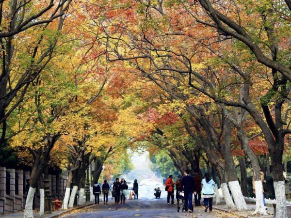 山东青岛旅游攻略景点必去