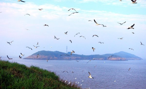 浙江舟山属于哪个市