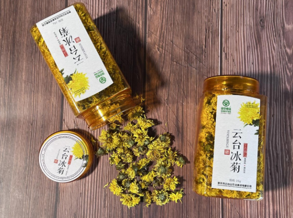 泡菊花茶用哪种菊花好喝一点