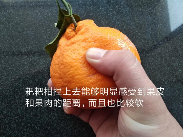 丑橘和粑粑柑有什么区别图片