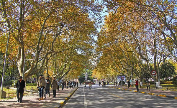 建筑学专业大学中国排名