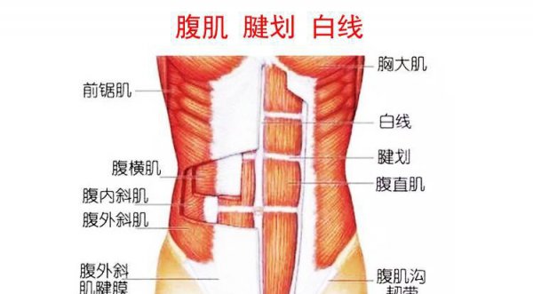 怎样才能练出八块腹肌简单方法