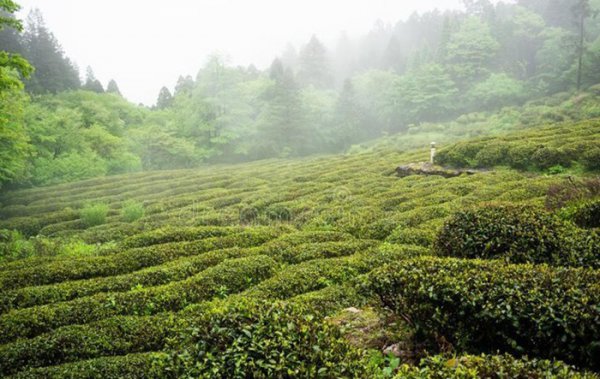 江西属于江南地区吗