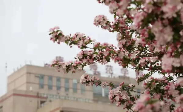 唐山师范学院属于一本还是二本