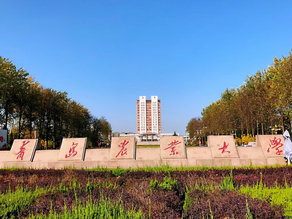 青岛市大学排名一览