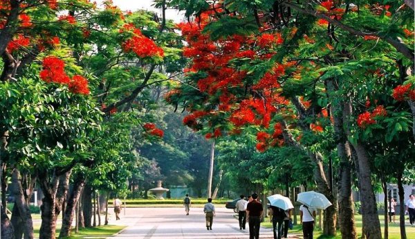 厦门大学地址