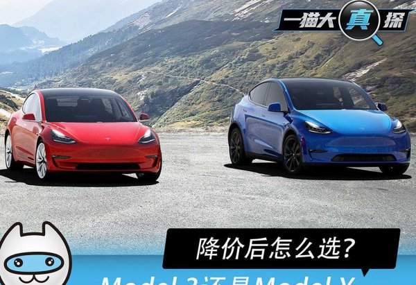 特斯拉model3和modely对比哪个好值得买入手