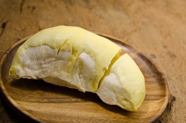 野钓用什么饵料最好钓