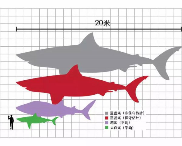 巨齿鲨和沧龙谁厉害一点