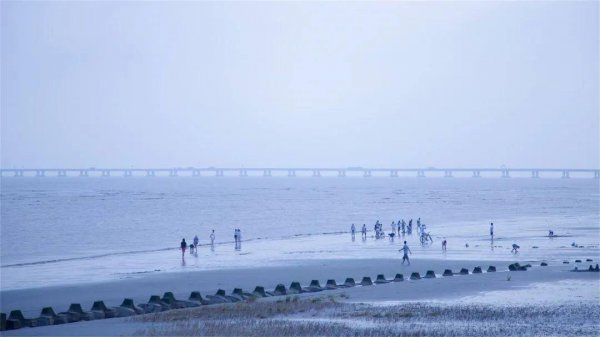 上海海边沙滩景点有哪些