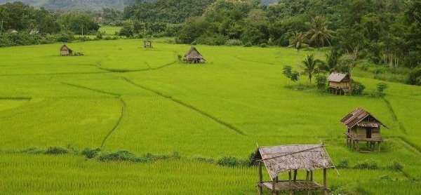 老挝面积和人口数量