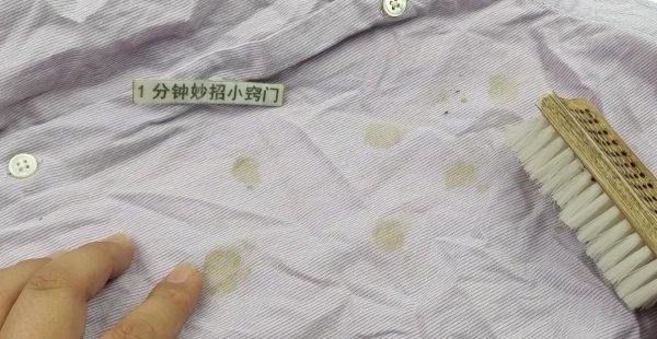 衣服受潮发霉有霉点如何清洗