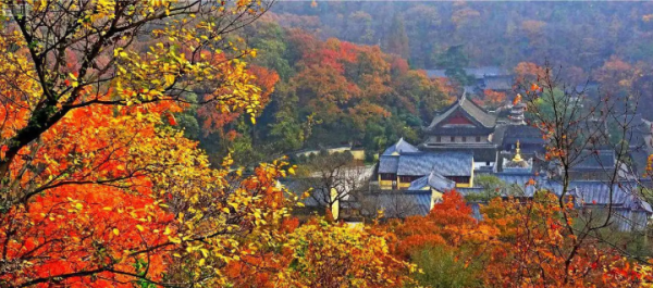 国内去哪里旅游最好玩