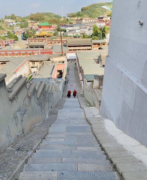 塔尔寺在哪里介绍