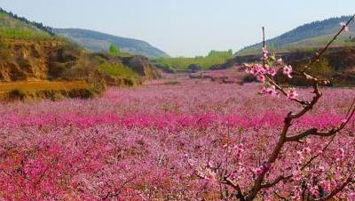 肥城属于山东哪个市