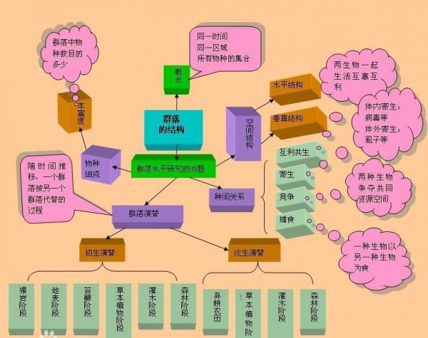 概念图和思维导图的区别图片