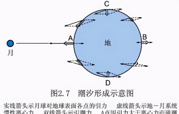 月亮自转吗