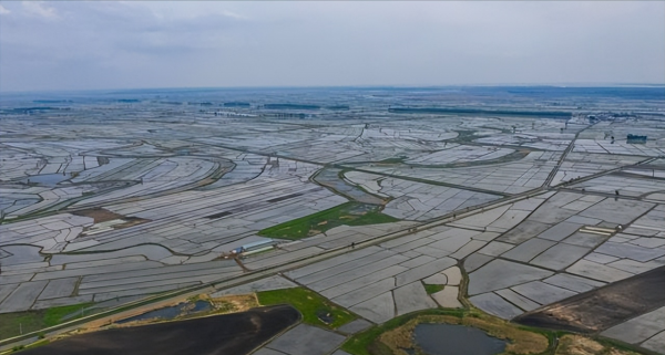 嫩江市属于哪个地区管