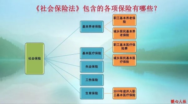 单位交社保和个人交社保的区别