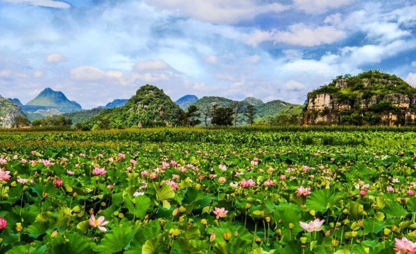 5一6月旅游国内最佳地