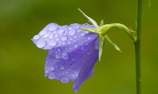 天蝎座最典型几个特点