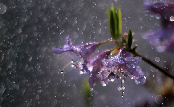 形容暴风雨很大很猛烈的诗句