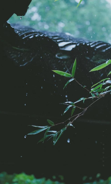 形容暴风雨很大很猛烈的诗句