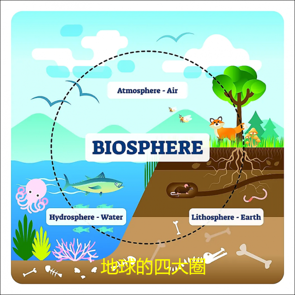 生物圈的概念是什么意思