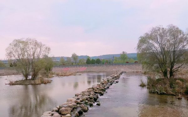 河南灵宝市属于哪个市管辖