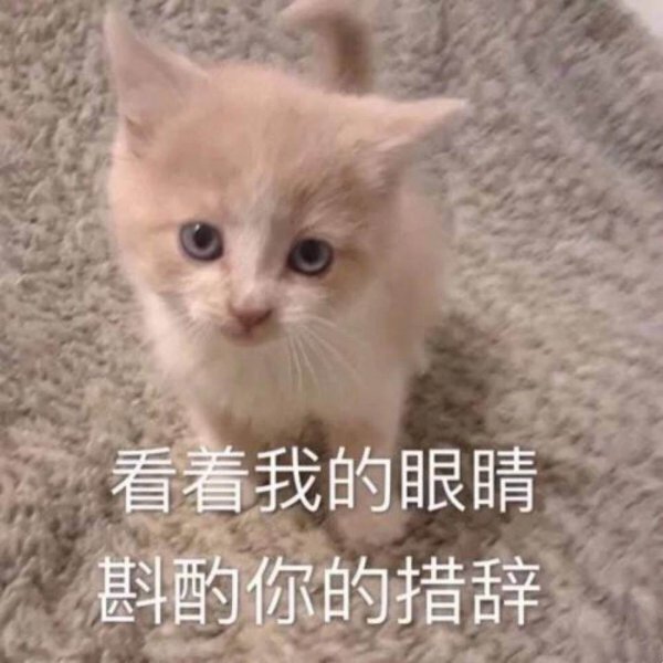 养猫和养狗的区别很真实